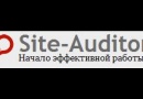 Site-Auditor 