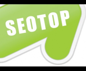 Seotop - добавление ссылок в социальные сервисы