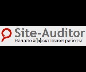 Site-Auditor 